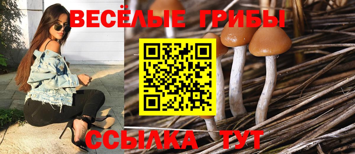 Псилоцибиновые грибы прущие грибы Гурьевск