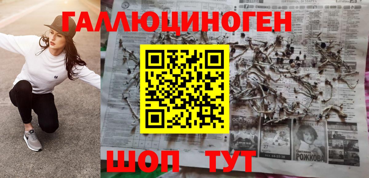 Галлюциногенные грибы Cubensis  Галлюциногенные грибы мицелий  Гурьевск  Вход с VPN 